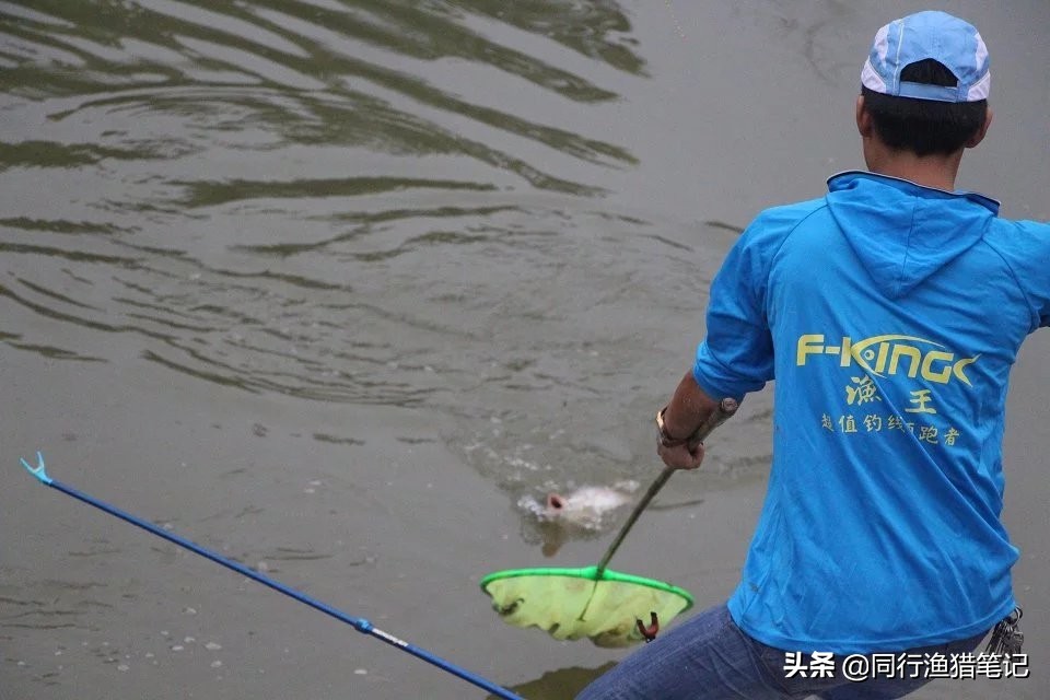 7.2米鱼竿5h28调与6h19调的区别,5h和6h鱼竿是什么意思