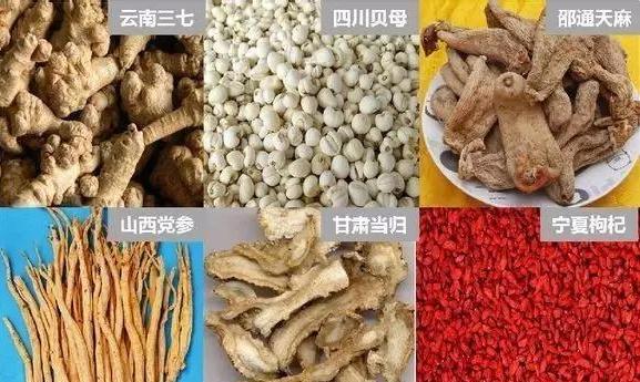 全国最好的药材种植,全国各地适合种植什么药材