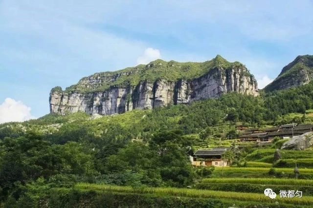 年度总结事件视频,年终总结年度大事件及成效