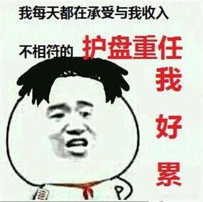 致敬项海王，股生PPT