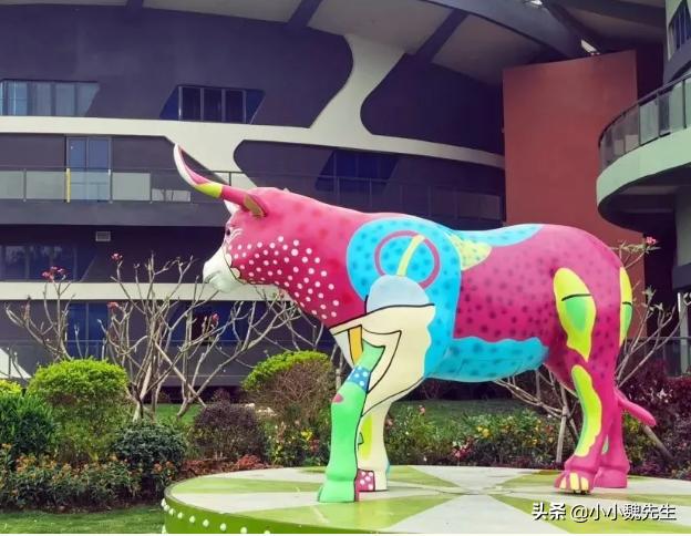 珠海有没有比较好的景点,珠海最漂亮群岛