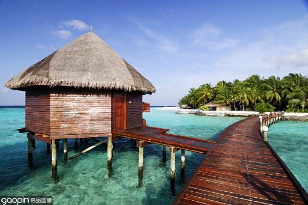 马尔代夫最震撼的海底,世界上最漂亮的海底珊瑚礁