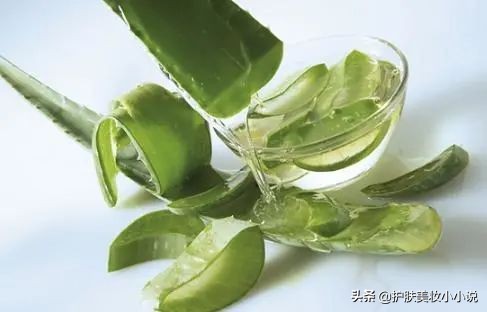 ​芦荟胶五大实用功能大公开，平价且多用，难怪是宝藏型护肤品！