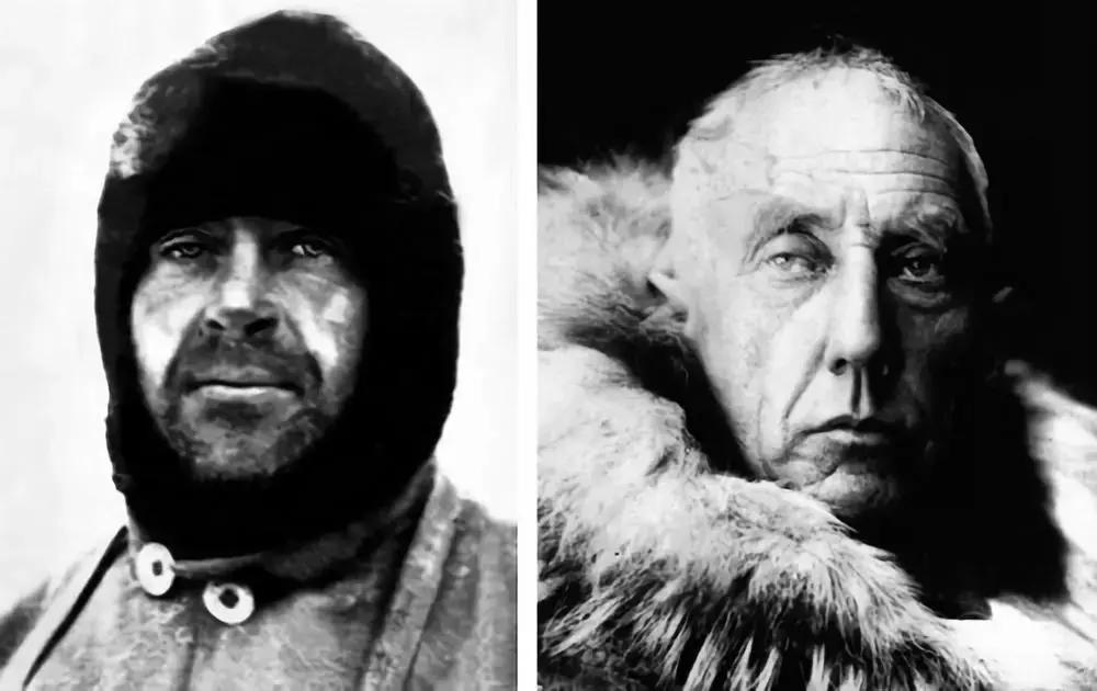 如果要找工作，你家傻狗除了卖萌还能干什么？