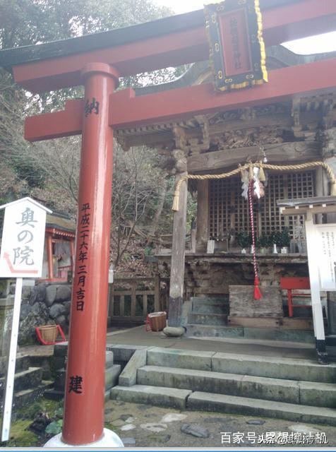 1500足够日本“剁手游”，大众化邮轮出趟国门，3快乐，4遗憾