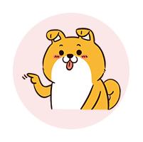 函授是什么意思属于什么学历,函授和成人学历的区别是什么