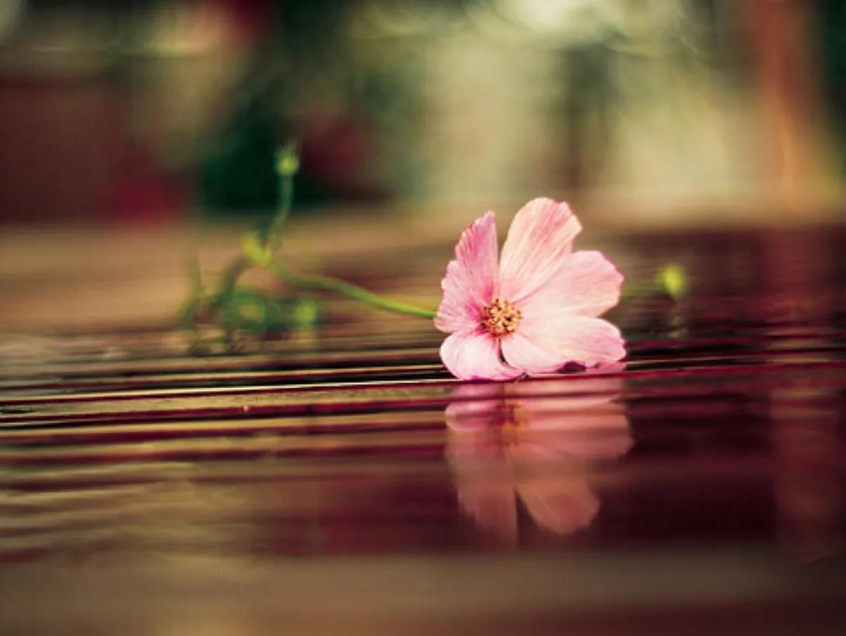 为什么觉得自己的腋臭好闻,腋臭是一种香吗