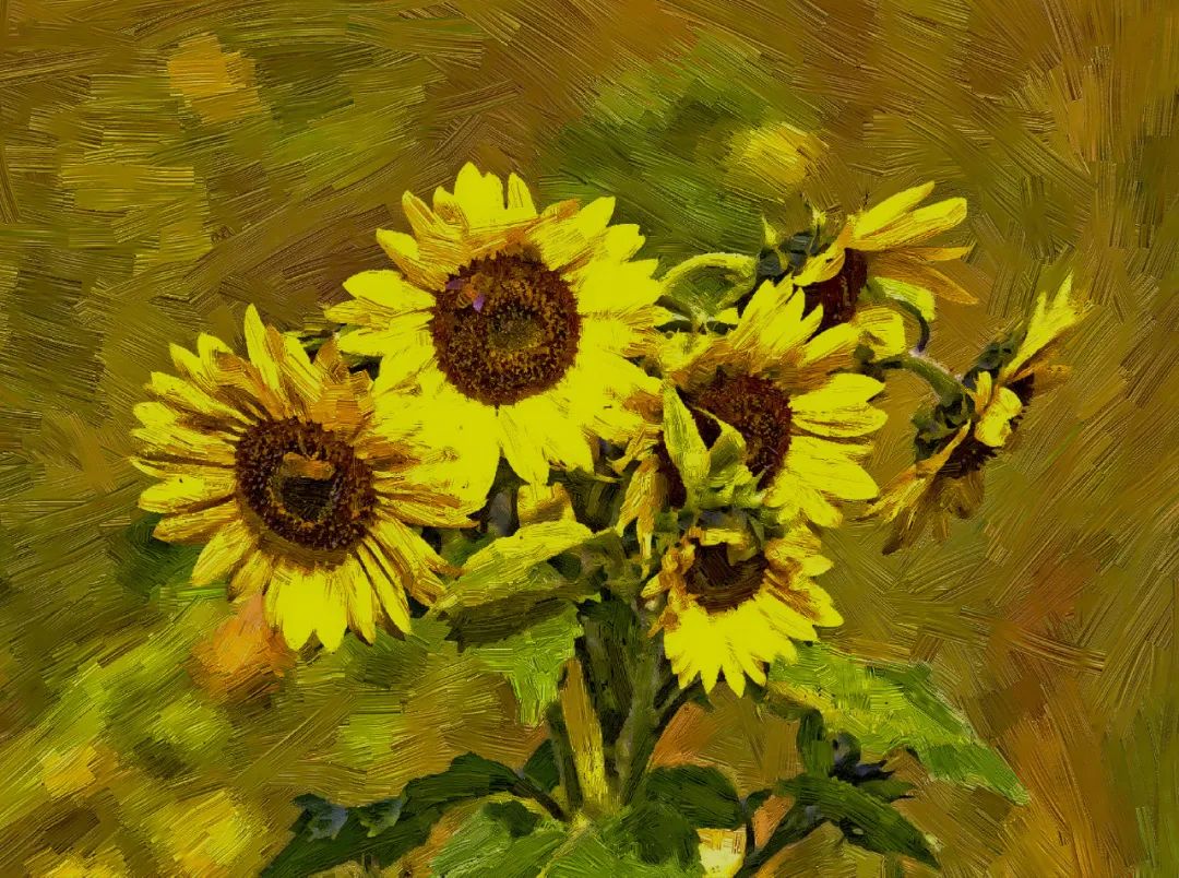 香港第14届全国摄影艺术展,第29届全国摄影艺术展览获奖名单