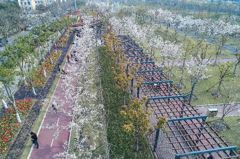 喜迎党代会共谋新发展展现新作为,喜迎党代会砥砺奋进