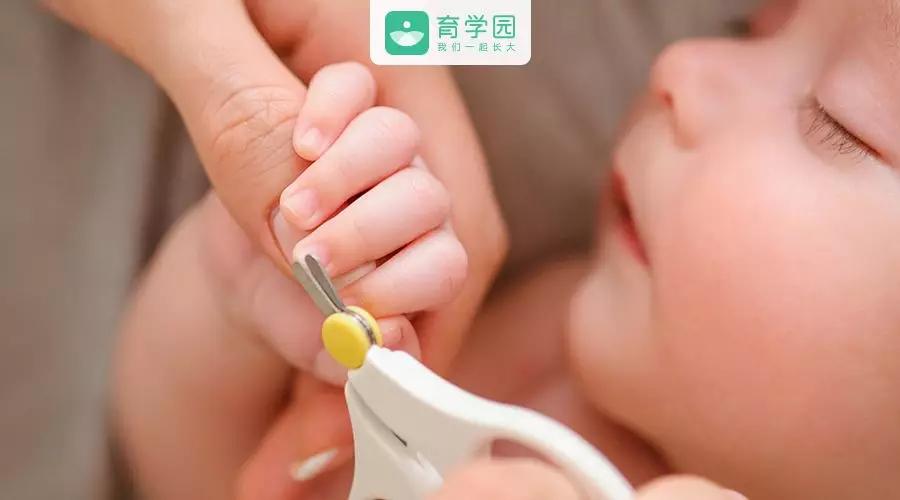 宝宝脚趾甲往肉里长怎么办,宝宝脚趾甲往肉里长怎么干预