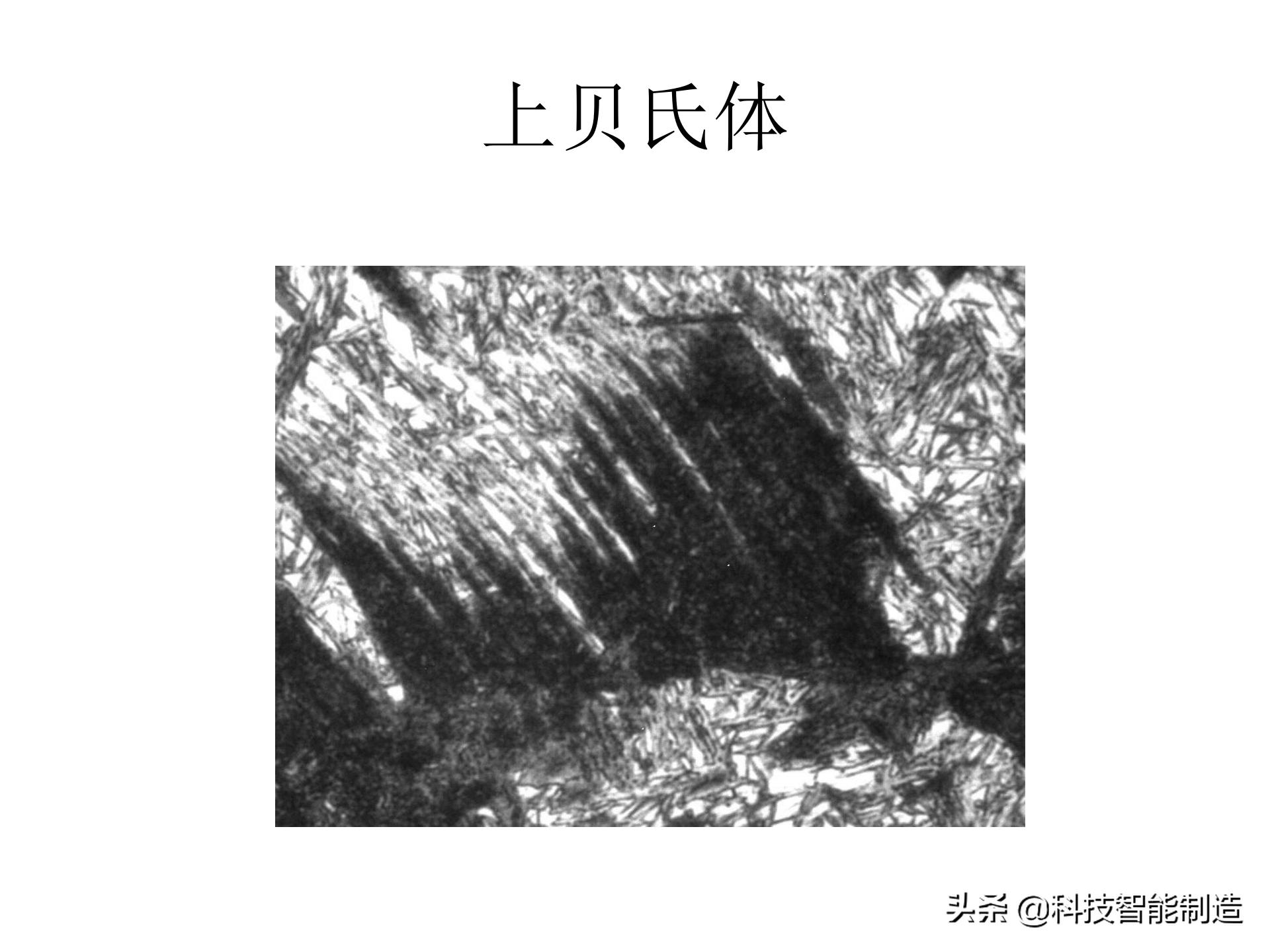 金属材料基础知识，金相组织如何看，金相组织告诉我们什么？