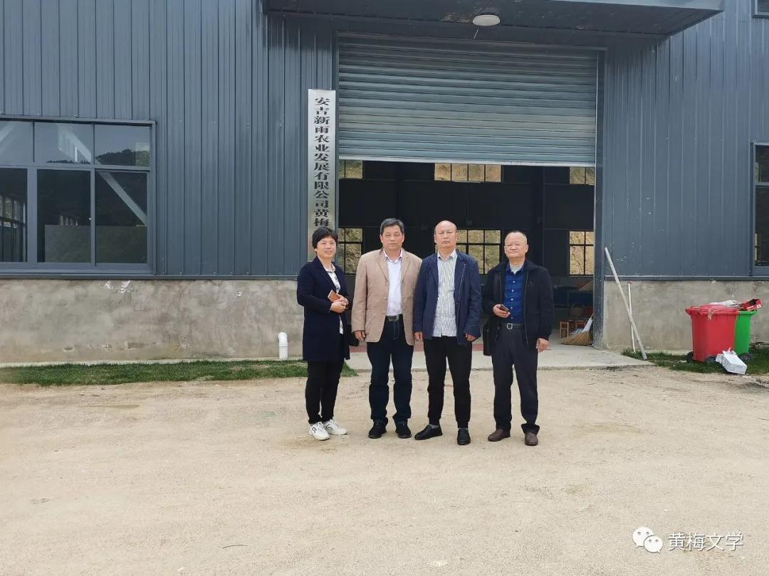 黄冈黄梅山区,黄梅县大山