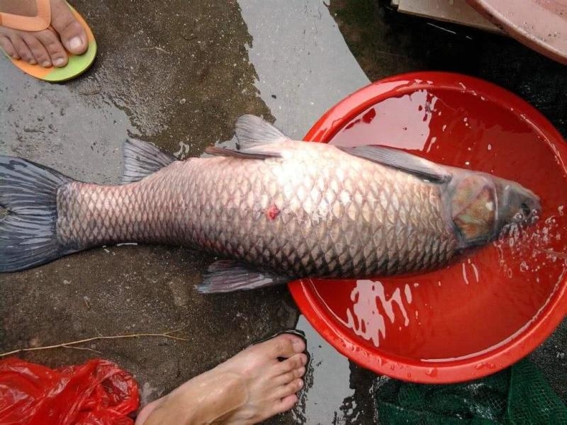 小线组和大线组的区别,小线组好上鱼