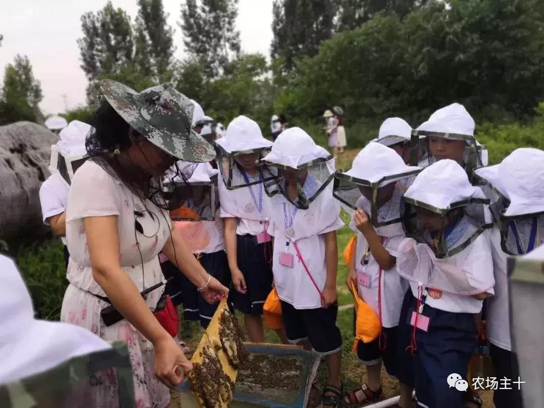 从零开始打造一个优质亲子农庄,从亏损近2亿到盈利35亿的逆袭