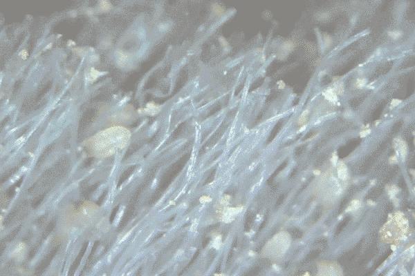 除螨产品可靠吗,除螨的产品真的管用吗