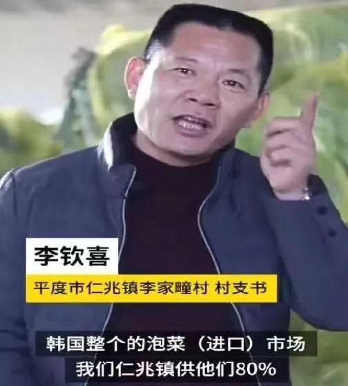 李子柒被评论视频,李子柒做泡菜遭韩国网友围攻后续