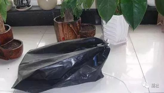 葫芦盘玩十大忌讳,玩葫芦效果