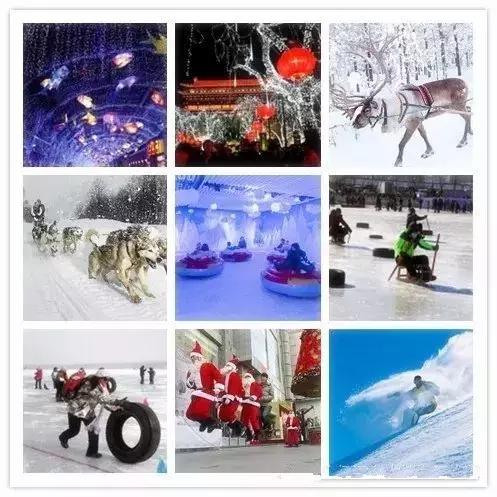 谁说冬天只有严寒,谁说大西北的荒漠寸草不生