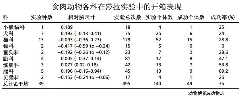 猫科动物辟谣,狮子老虎和猫智力差距