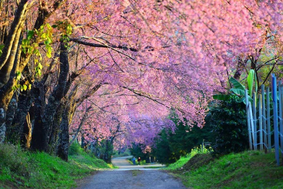 惠州富力养生谷一房一厅出售,富力养生谷loft惠州