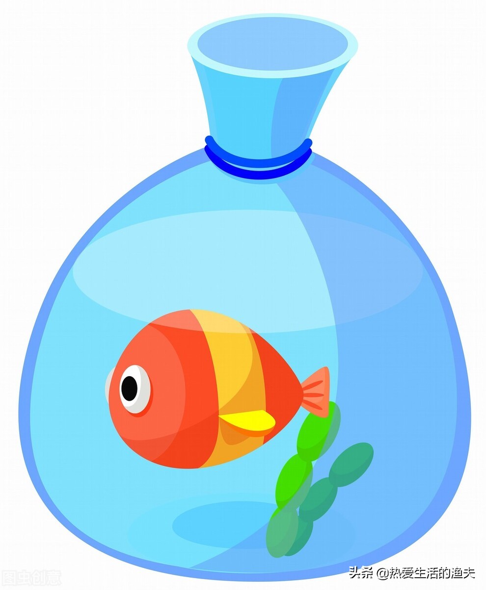 金鱼刚入缸需要一直打氧气吗,金鱼不带氧气泵可以养活吗