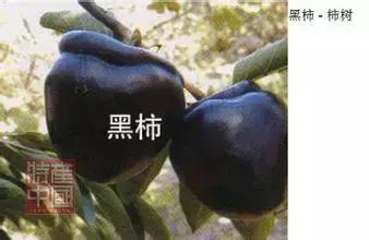 世界稀奇水果品种大全,世界热带奇特水果品种介绍