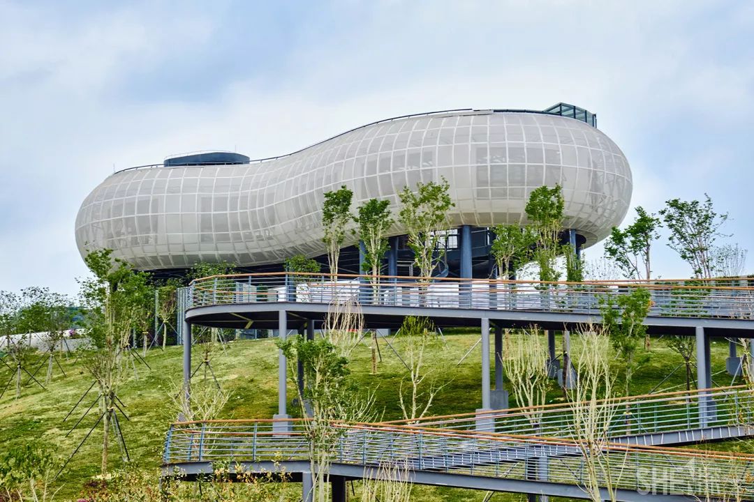 深圳5号地铁线附近的公园,地铁直达的深圳商圈