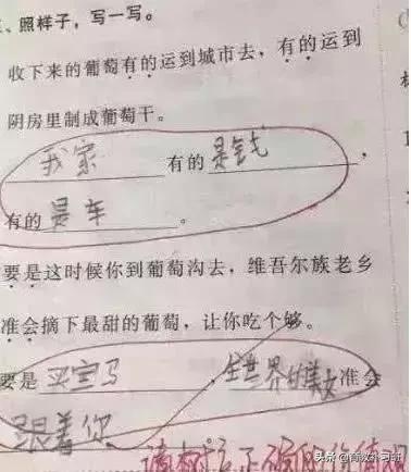 小学生造句100分视频,学生造句给0分