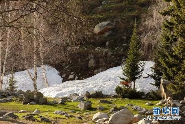 大美新疆欢迎你们,大美新疆欢迎你下一句