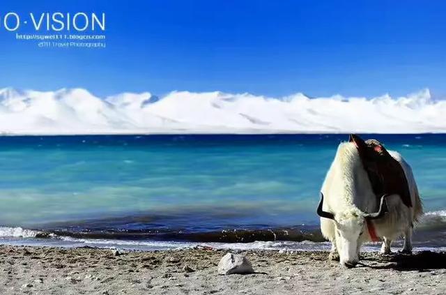 西藏第一大湖泊是哪一个湖纳木错,人生最值得去的旅游地方纳木错