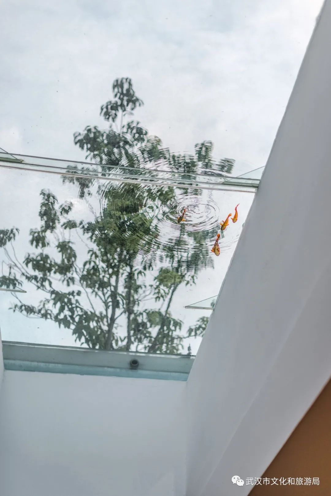 藏在武汉郊野的4家美宿,武汉藏在山里的民宿