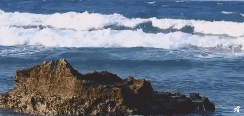 西沙群岛的美丽和富饶,西沙群岛的特殊