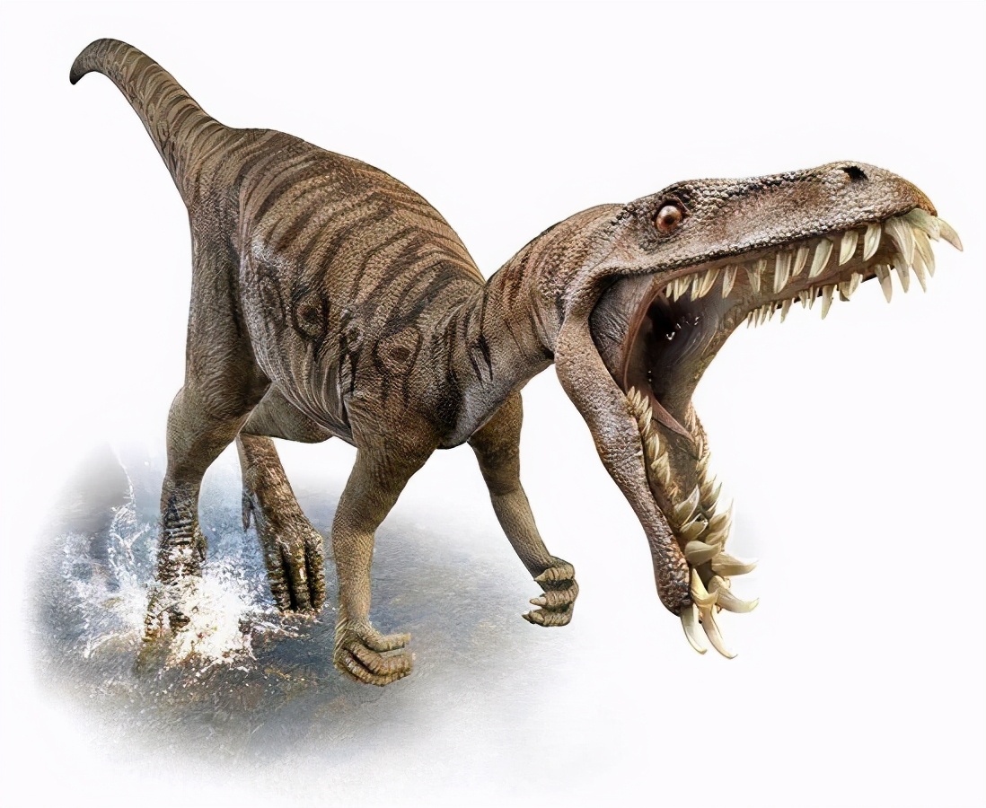 恐龙的100个真相,史前恐龙未解之谜攻略