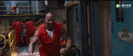 巨石强森的幸福生活,巨石强森2019婚姻