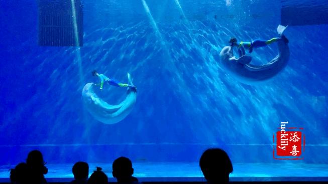 高铁出游攻略江浙沪,高铁直达的周末游