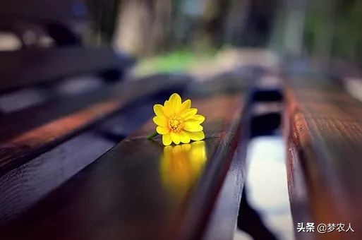 你怎么放进去，我就怎么拿出来