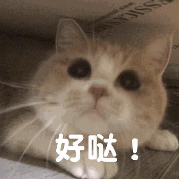 乐高乐园控制性详规出台，地点：里仁清水片区，面积：3619亩