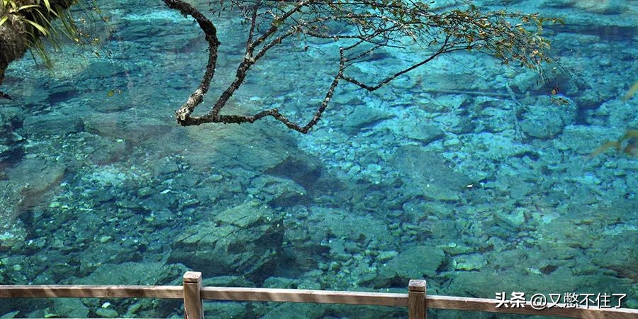 别再花冤枉钱赚钱不容易,旅游中的这些坑您得擦亮眼睛