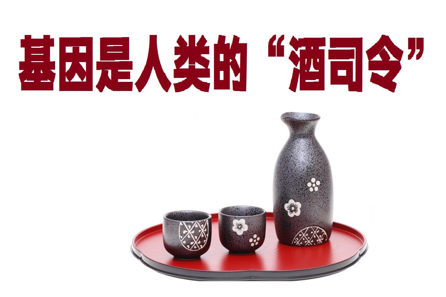 基因是人类的“酒司令”