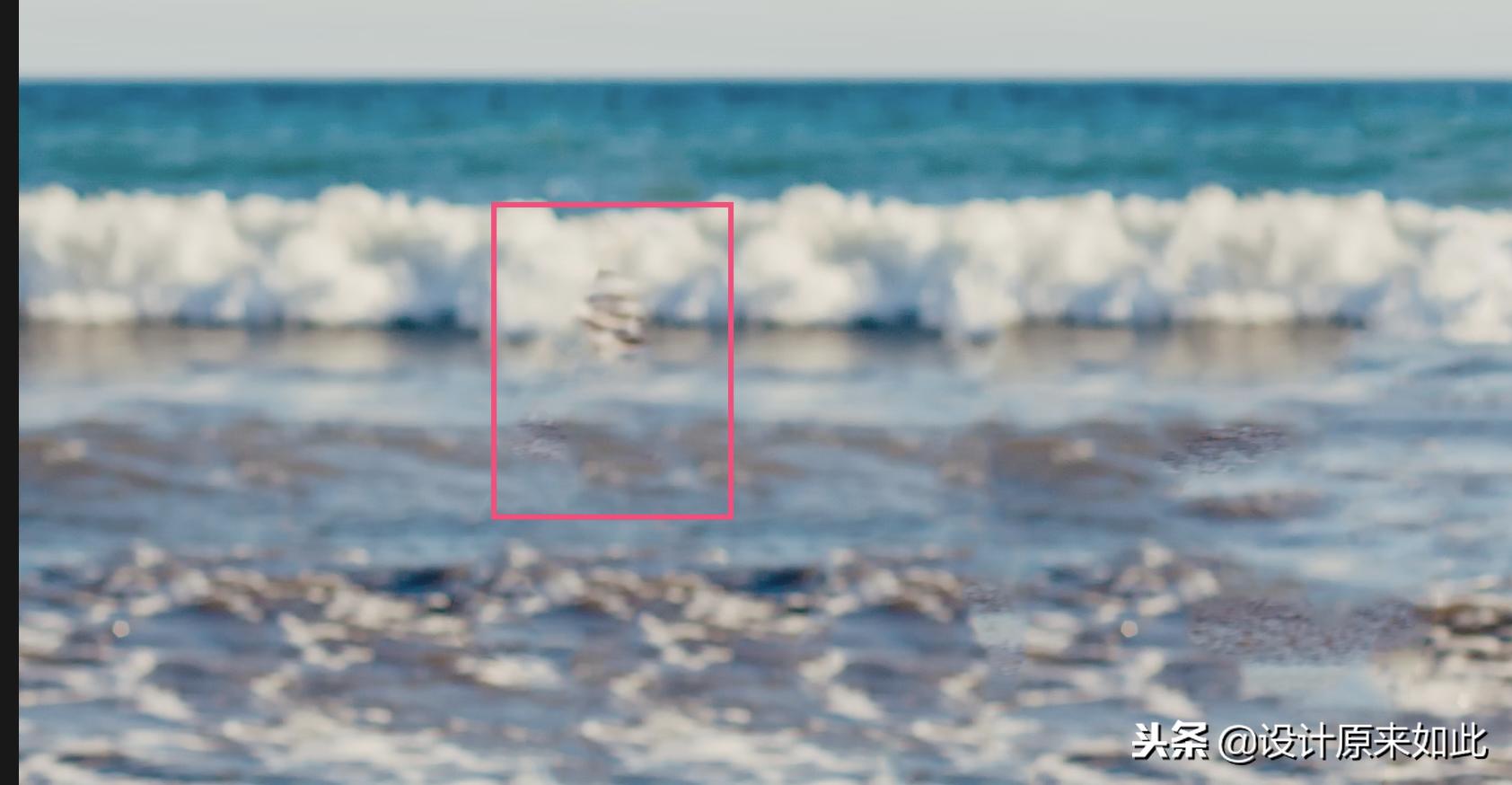 ps办公实用小技巧,ps照片多余的人物去除