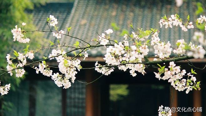 表达诗人被贬无奈的诗句,诗人被贬后伤感消极的诗句