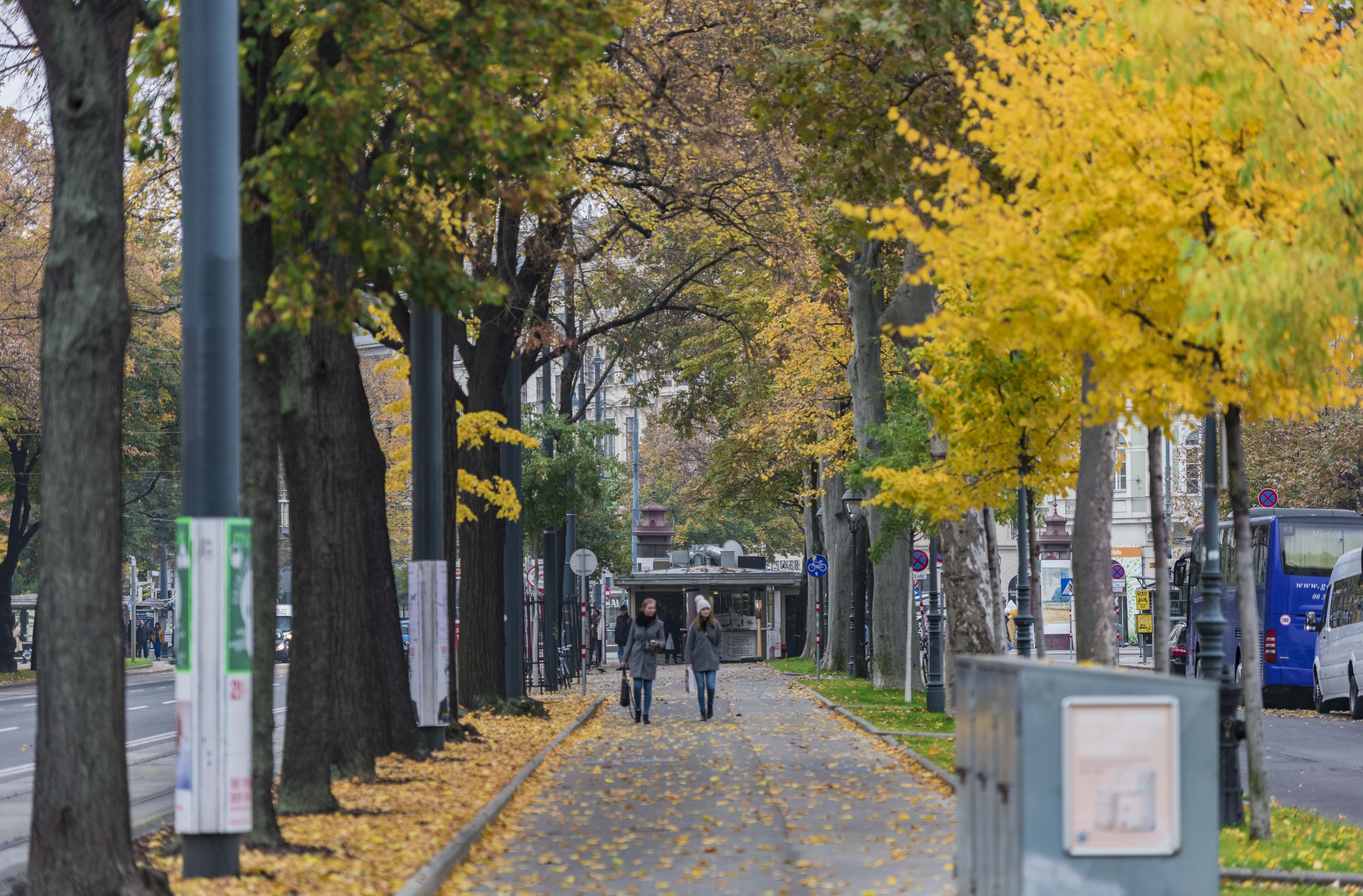 拒绝希特勒两次的城市，二战以来的维也纳