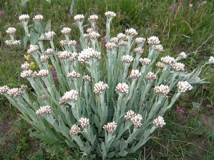 涔崇櫧棣欓潚,涔崇櫧娣￠粍棣欓潚