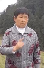 网上的一些土味视频盘点,土味视频被网爆