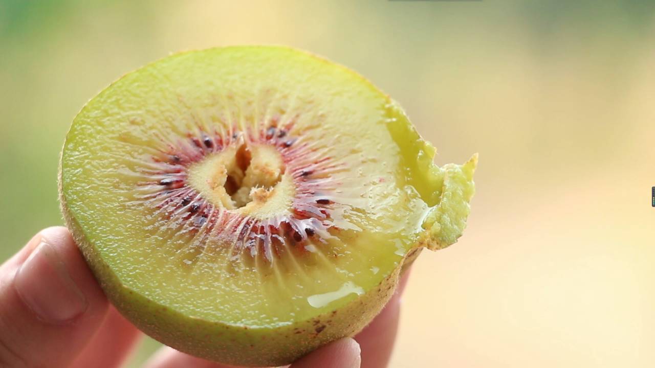 猕猴桃是红心好还是绿心好,猕猴桃是红心的好还是绿色的好