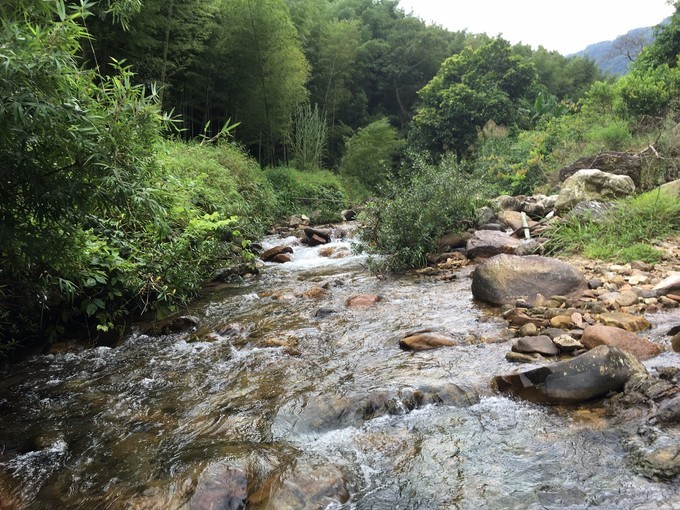 从化溪头自驾游视频,从化溪头村一日游路线