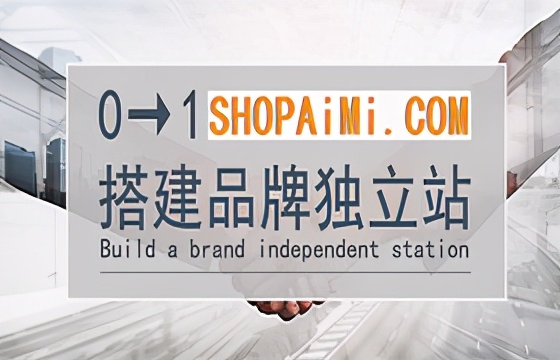 独立站域名关键词选择,独立站品牌域名如何选择