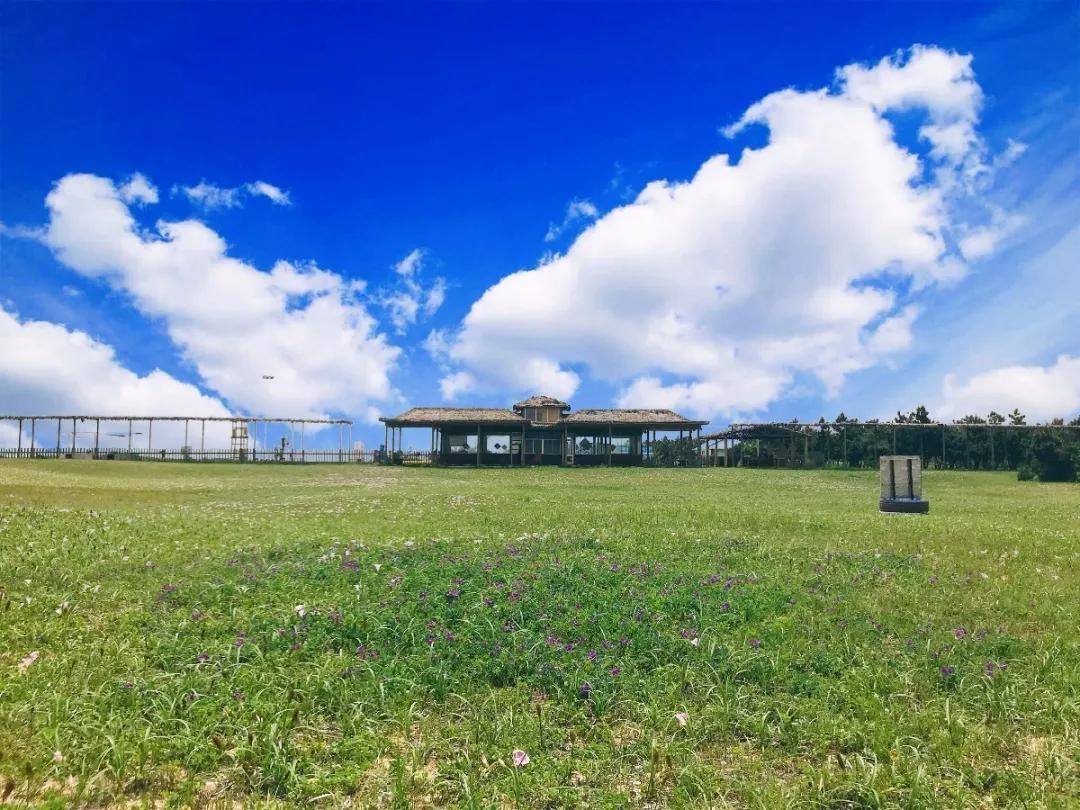 初夏去花海好玩吗,初夏去海边好玩吗