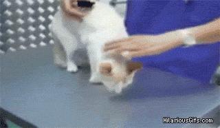 钱可以当尺子，乳头可以录指纹，奇奇怪怪的知识太多了！