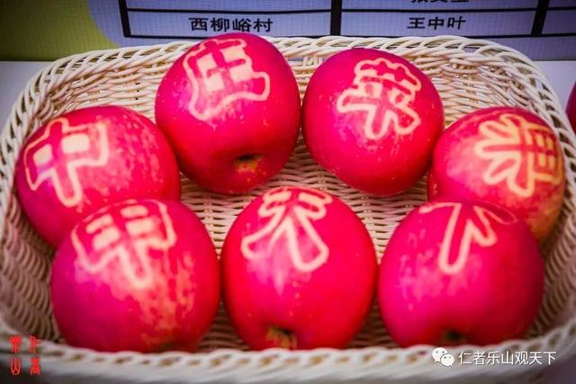 花卉蔬菜制作教程,花卉怎么做